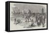 Snow-Shoe Hurdle-Race, at Montreal-null-Framed Stretched Canvas