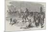 Snow-Shoe Hurdle-Race, at Montreal-null-Mounted Giclee Print