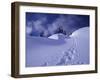 Snow Shoe Trail, Mt. Rainier National Park, Washington, USA-Jamie & Judy Wild-Framed Photographic Print