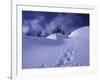 Snow Shoe Trail, Mt. Rainier National Park, Washington, USA-Jamie & Judy Wild-Framed Photographic Print