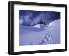 Snow Shoe Trail, Mt. Rainier National Park, Washington, USA-Jamie & Judy Wild-Framed Photographic Print