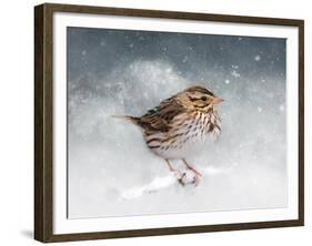 Snow Sparrow-Jai Johnson-Framed Giclee Print