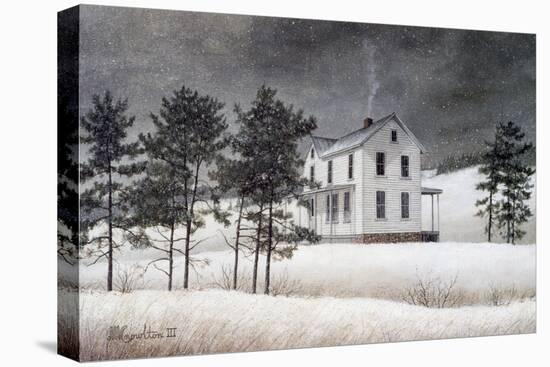 Snow Squall-David Knowlton-Stretched Canvas