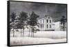 Snow Squall-David Knowlton-Framed Stretched Canvas