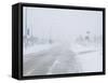 Snow Storm and Blizzard, Churchill, Hudson Bay, Manitoba, Canada, North America-Thorsten Milse-Framed Stretched Canvas