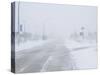 Snow Storm and Blizzard, Churchill, Hudson Bay, Manitoba, Canada, North America-Thorsten Milse-Stretched Canvas