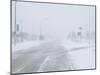 Snow Storm and Blizzard, Churchill, Hudson Bay, Manitoba, Canada, North America-Thorsten Milse-Mounted Photographic Print