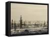 Snow Storm, Blizzard, Churchill, Hudson Bay, Manitoba, Canada-Thorsten Milse-Framed Stretched Canvas