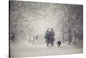 Snow storm charm-stanislav hricko-Stretched Canvas