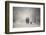 Snow storm charm-stanislav hricko-Framed Photographic Print