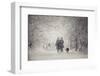 Snow storm charm-stanislav hricko-Framed Photographic Print