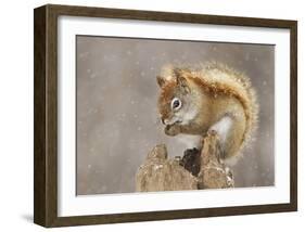 Snow Storm-Mircea Costina-Framed Giclee Print