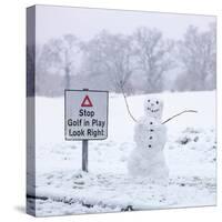 Snow Surprise-Assaf Frank-Stretched Canvas