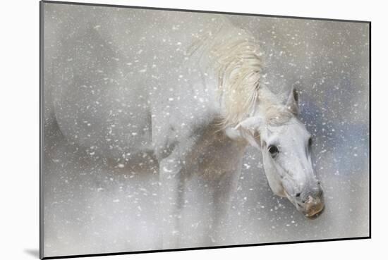 Snow Tickle-Jai Johnson-Mounted Giclee Print