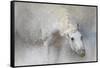 Snow Tickle-Jai Johnson-Framed Stretched Canvas