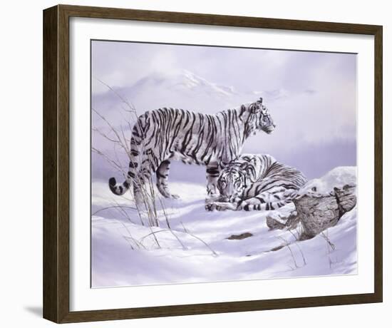 Snow Tigers-Spencer Hodge-Framed Giclee Print