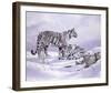 Snow Tigers-Spencer Hodge-Framed Giclee Print