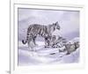 Snow Tigers-Spencer Hodge-Framed Giclee Print