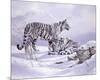 Snow Tigers-Spencer Hodge-Mounted Giclee Print