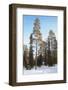 Snow Track in the Forest-pljvv-Framed Photographic Print