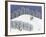 Snow Treck-Gordon Barker-Framed Giclee Print