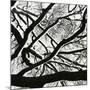 Snow, Tree, c. 1970-Brett Weston-Mounted Photographic Print