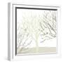 Snow Tree III-Sarah Cheyne-Framed Giclee Print