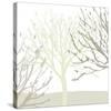 Snow Tree III-Sarah Cheyne-Stretched Canvas