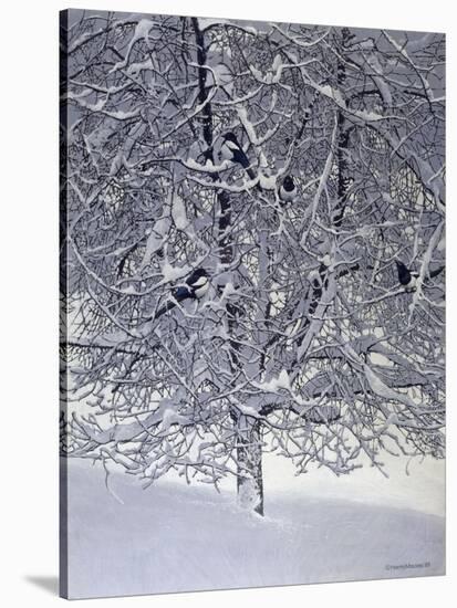 Snow Tree with Magpies-Harro Maass-Stretched Canvas