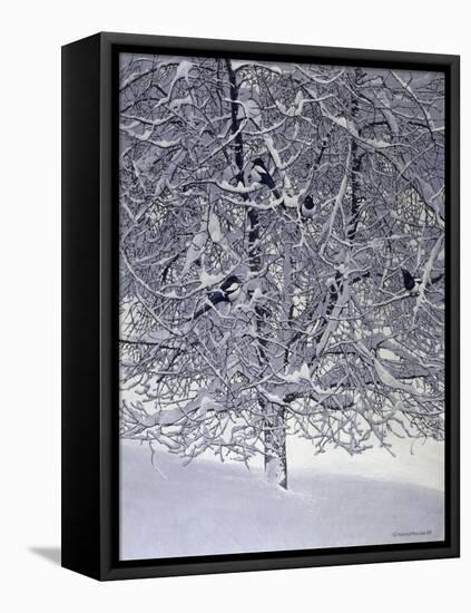 Snow Tree with Magpies-Harro Maass-Framed Stretched Canvas