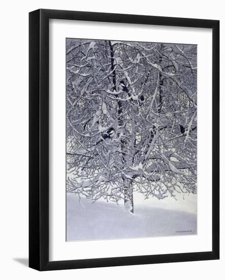 Snow Tree with Magpies-Harro Maass-Framed Giclee Print