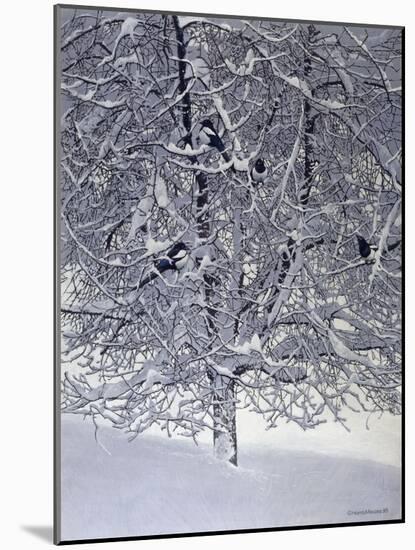 Snow Tree with Magpies-Harro Maass-Mounted Giclee Print