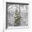 Snow Trees-Chris Dunker-Framed Giclee Print