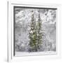 Snow Trees-Chris Dunker-Framed Giclee Print