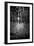 Snow Trees-Rory Garforth-Framed Photographic Print