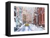 Snow, West Village, NYC, 2012-Anthony Butera-Framed Stretched Canvas