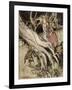 Snow White, Rose Red-Arthur Rackham-Framed Art Print