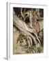 Snow White, Rose Red-Arthur Rackham-Framed Art Print