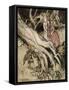 Snow White, Rose Red-Arthur Rackham-Framed Stretched Canvas