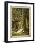 Snow White: When the Dwarfs Returned, They Discovered the Sleeping Snow White-V^p^ Mohn-Framed Giclee Print