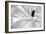 Snow White-Heru Sulistyono-Framed Photographic Print