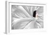 Snow White-Heru Sulistyono-Framed Photographic Print