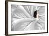 Snow White-Heru Sulistyono-Framed Photographic Print