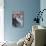 Snow White-Michalina Wozniak-Photographic Print displayed on a wall