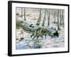 Snow Wolf-Bill Makinson-Framed Giclee Print