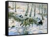 Snow Wolf-Bill Makinson-Framed Stretched Canvas