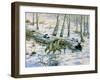 Snow Wolf-Bill Makinson-Framed Giclee Print