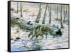 Snow Wolf-Bill Makinson-Framed Stretched Canvas