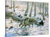 Snow Wolf-Bill Makinson-Stretched Canvas