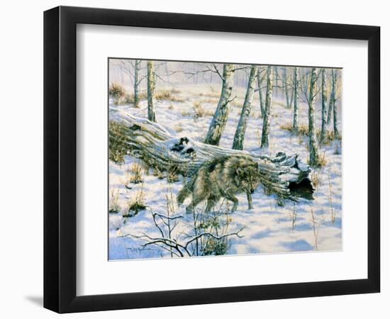 Snow Wolf-Bill Makinson-Framed Premium Giclee Print